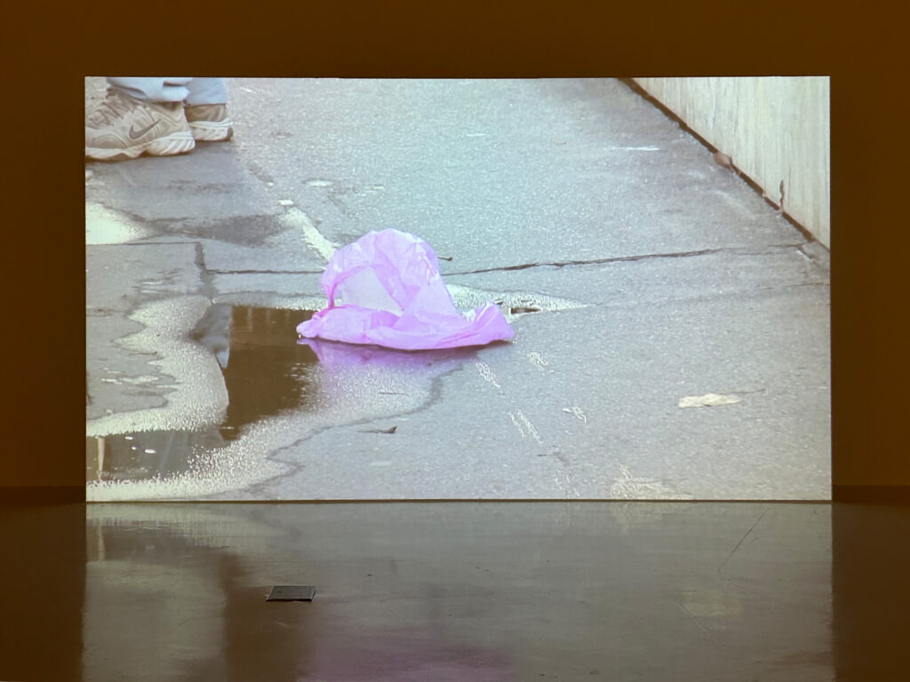 Ha Cha Youn, '실로 어마어마한 일이다 Something So Incredible', Exposition collective, 2025 Ha Cha Youn, '실로 어마어마한 일이다 Something So Incredible', Exposition collective, 2025